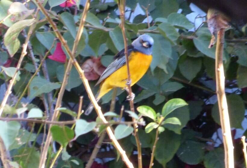 Отель Villa Antigua