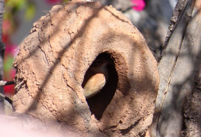 Отель Villa Antigua