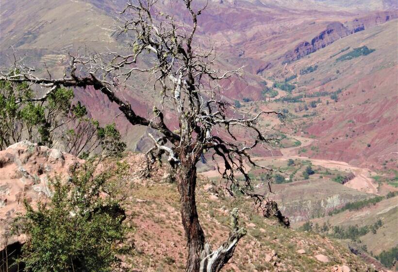 Отель Villa Antigua