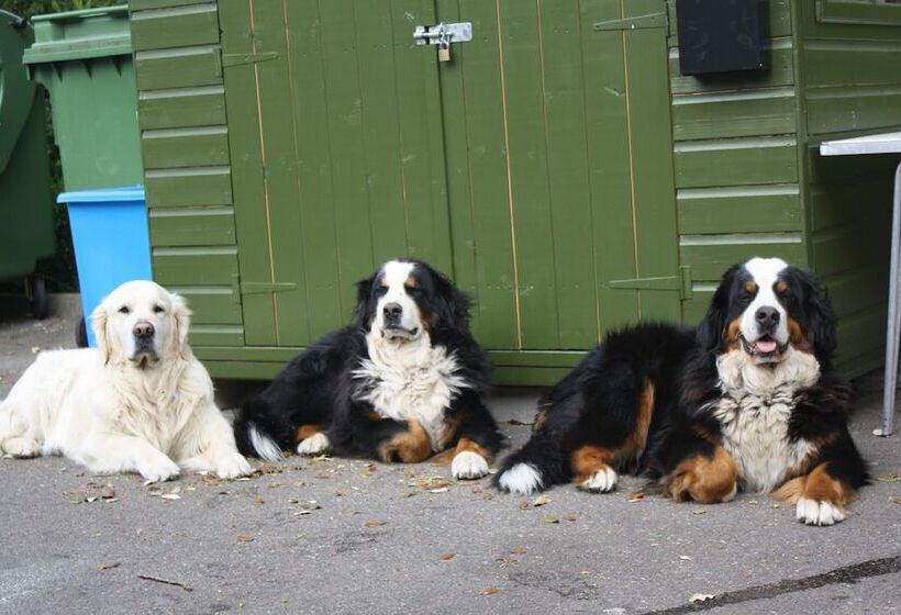 هتل Westhill Country