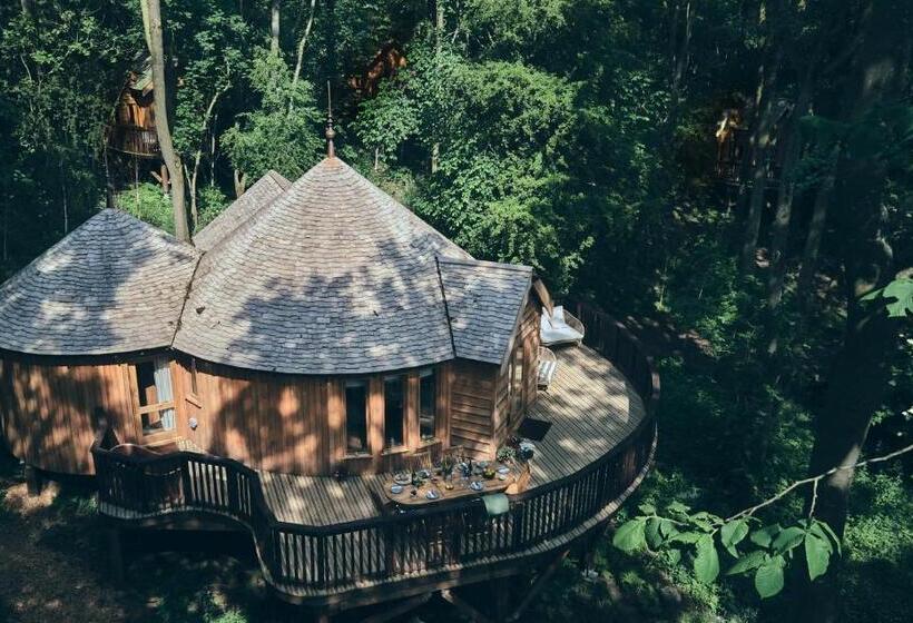 هتل Wildhive Callow Hall