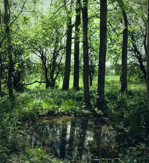 هتل Wildhive Callow Hall