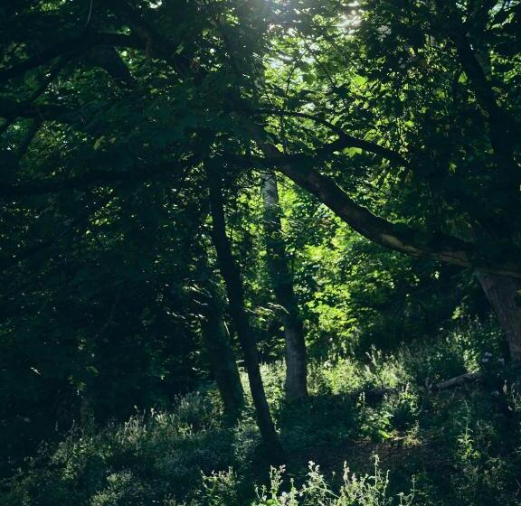 هتل Wildhive Callow Hall