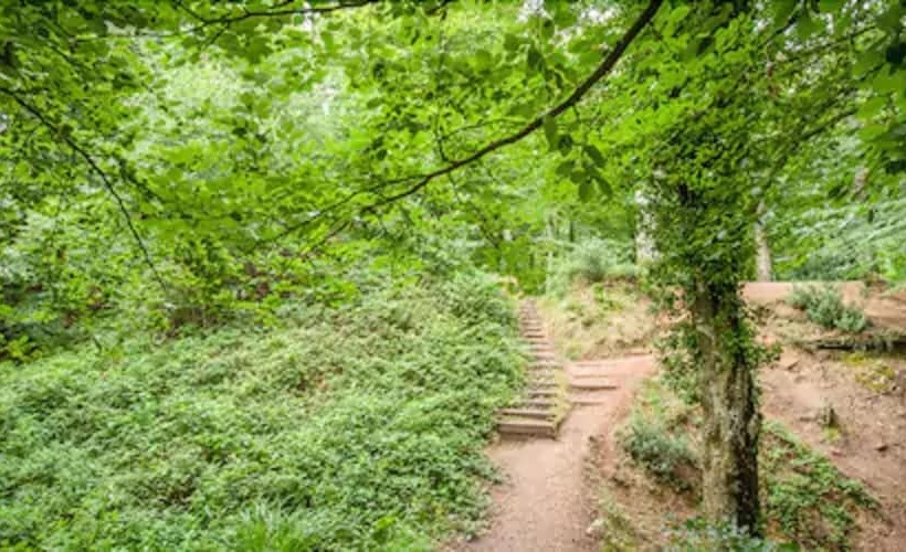 Woodbury Park Hotel & Spa