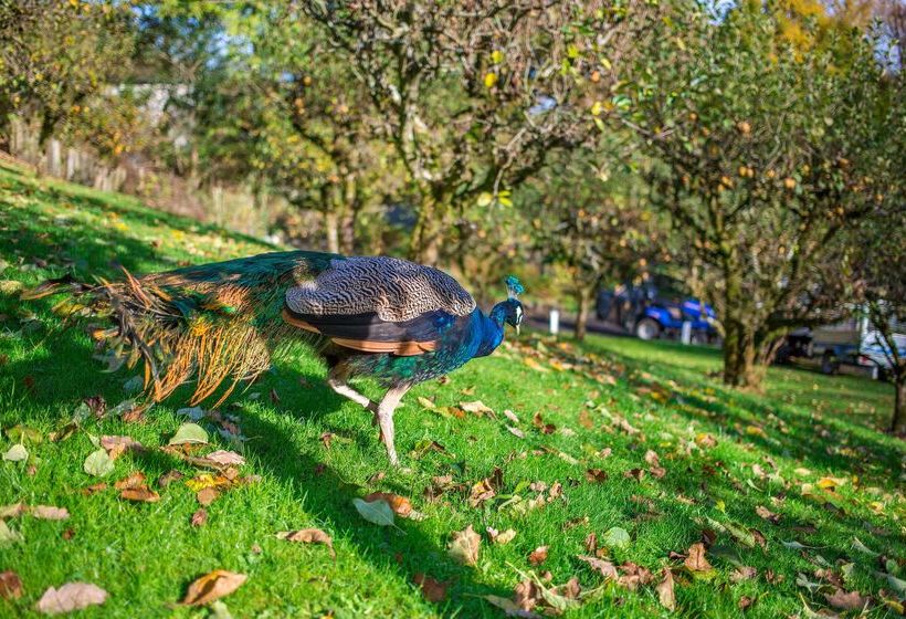 בית מלון כפרי Woodford Bridge Country Club