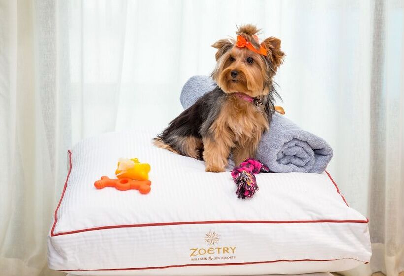 リゾートホテル Zoetry Agua Punta Cana All Inclusive