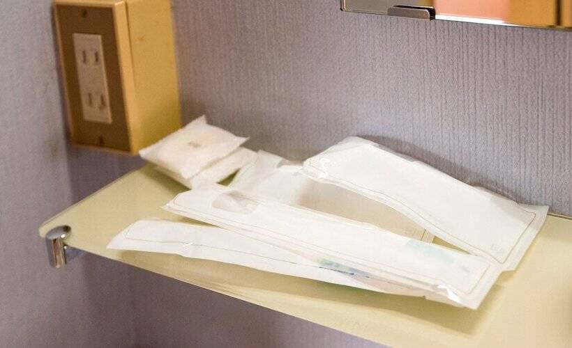 Sakura Ryokan Asakusa Iriya