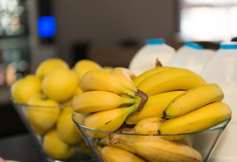 The Times Hostel   College Street