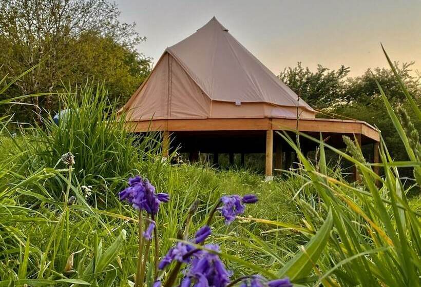 Bluebell Bell Tent  20 Acres Of Natural Beauty