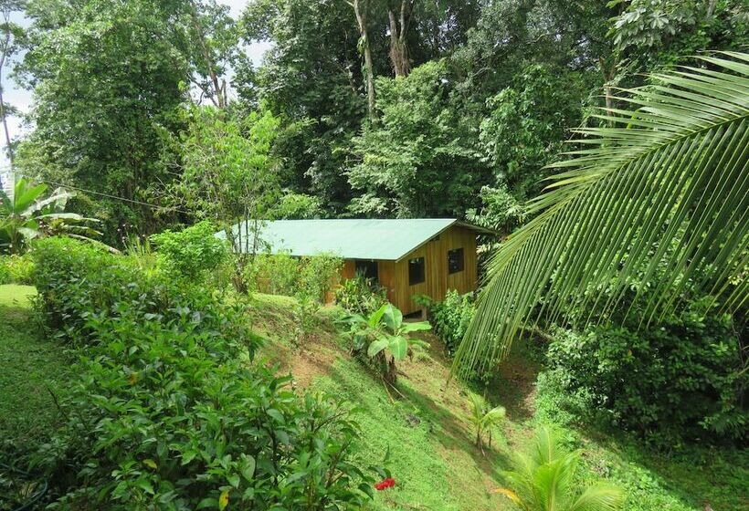 Cabañas Bajo Bosque Drake