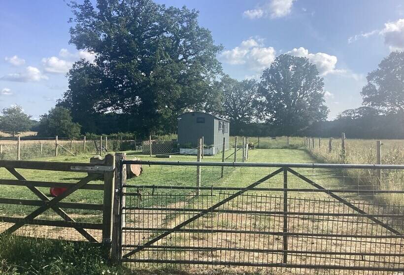 Charming Luxurious Rural Shepherds Hut