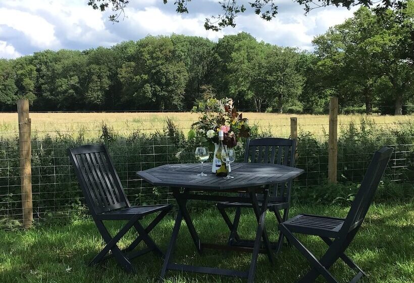 Charming Luxurious Rural Shepherds Hut