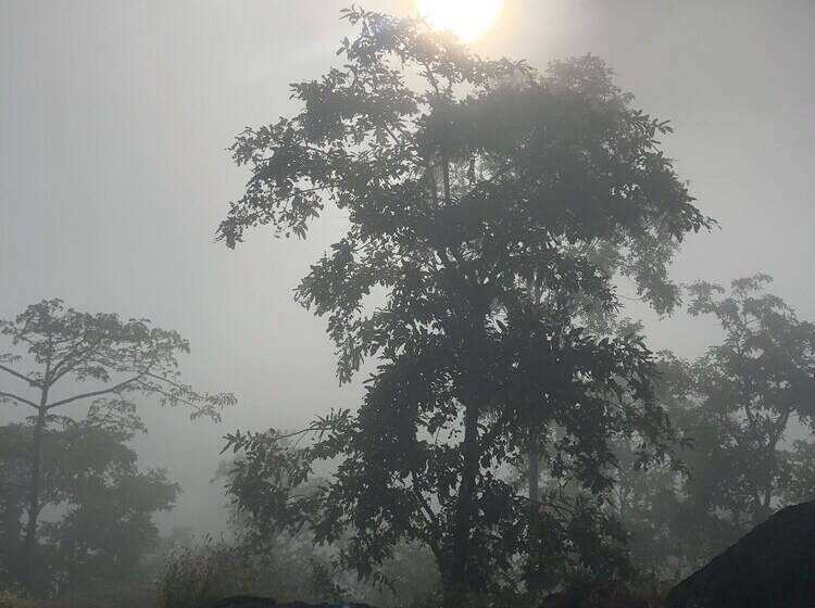 Hotel Ananta Ecostays