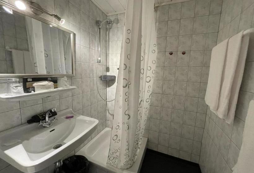 فندق Astoria Bad Wildstein