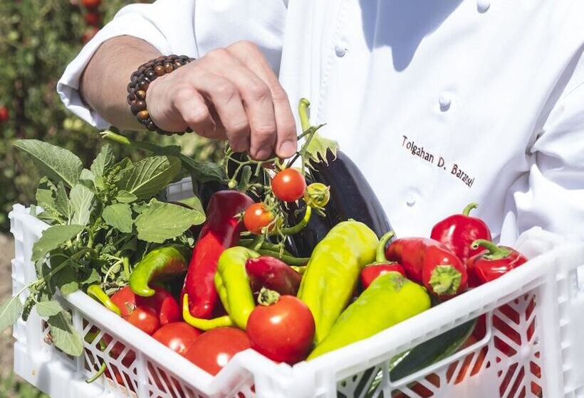 בית מלון כפרי Avec