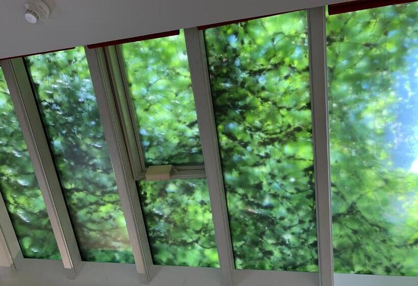 호텔 B54 Heidelberg City Center