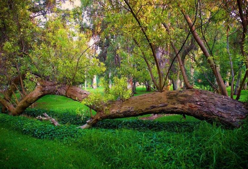 فندق Boutique Rancho San Juan Teotihuacan