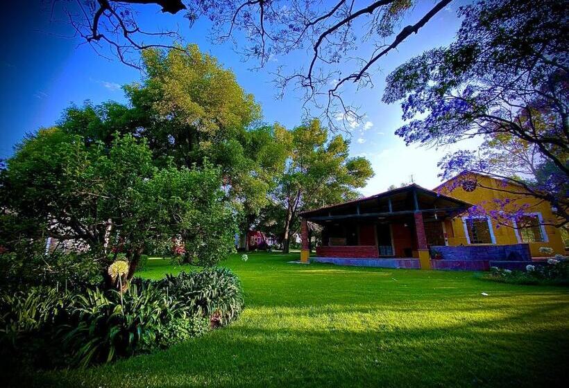 فندق Boutique Rancho San Juan Teotihuacan