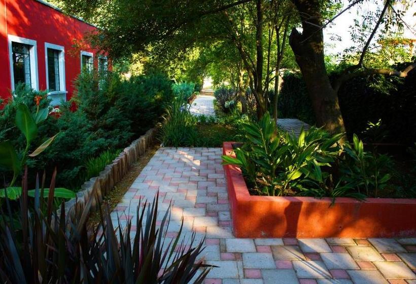 فندق Boutique Rancho San Juan Teotihuacan