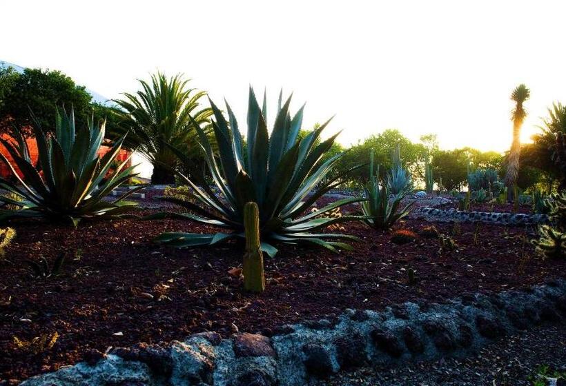 فندق Boutique Rancho San Juan Teotihuacan