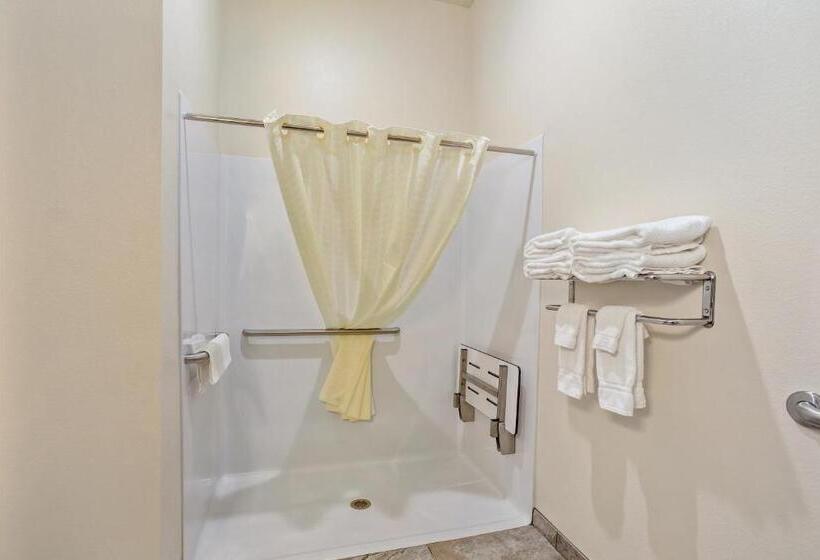 Cobblestone Hotel & Suites   Superior Duluth