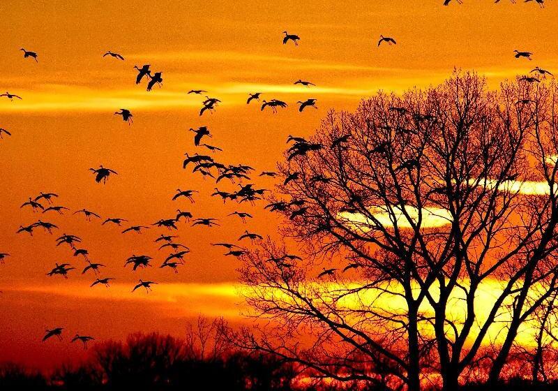 Отель Crowne Plaza Kearney, An Ihg