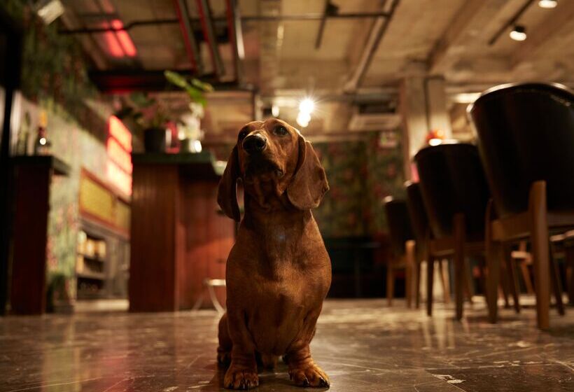 Dave Red Athens, A Member Of Brown Hotels