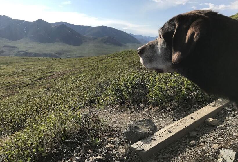 فندق Dawson Lodge