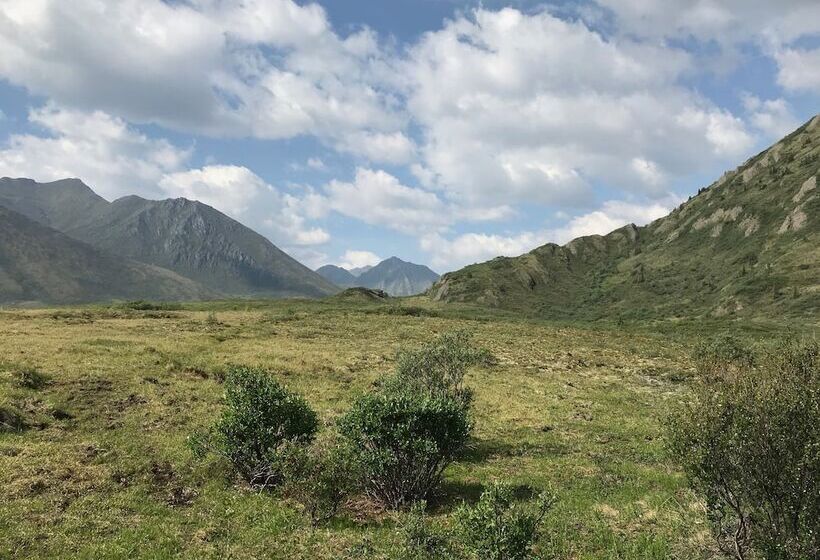 فندق Dawson Lodge