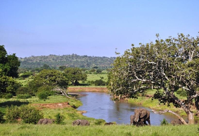 هتل Elephant Rock Luxury Camp Tarangire