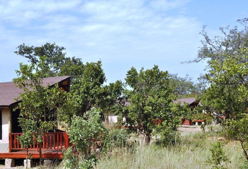 هتل Elephant Rock Luxury Camp Tarangire