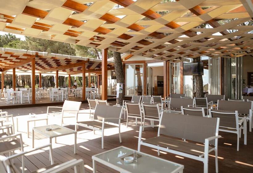 酒店 Kompleksi Royal