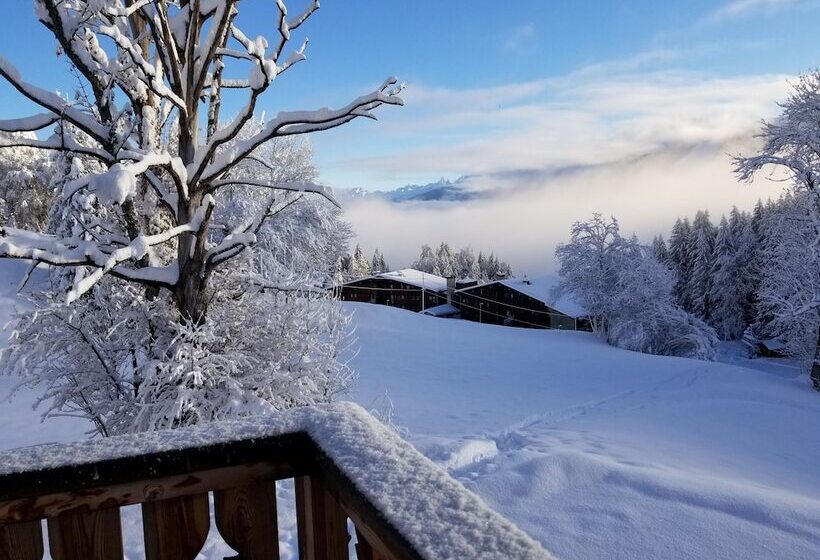 فندق Les Balcons Du Mont Blanc