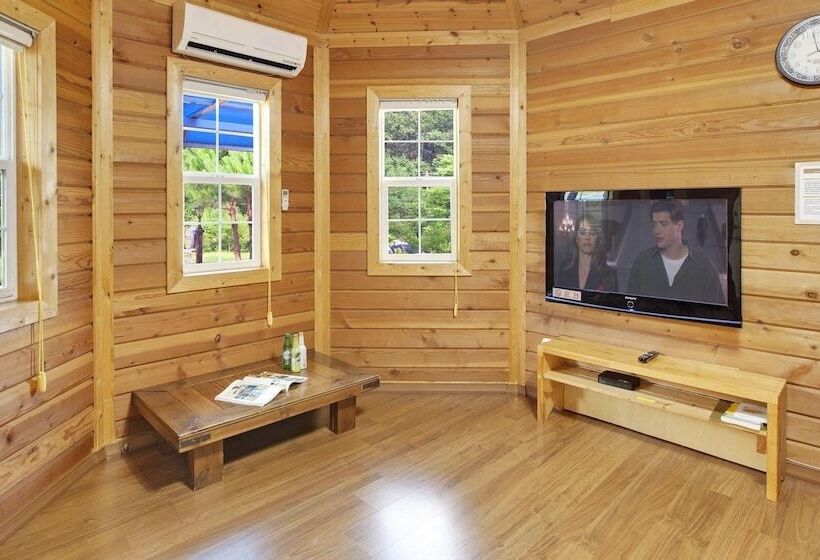 Hwacheon Parprika Yellow Pension