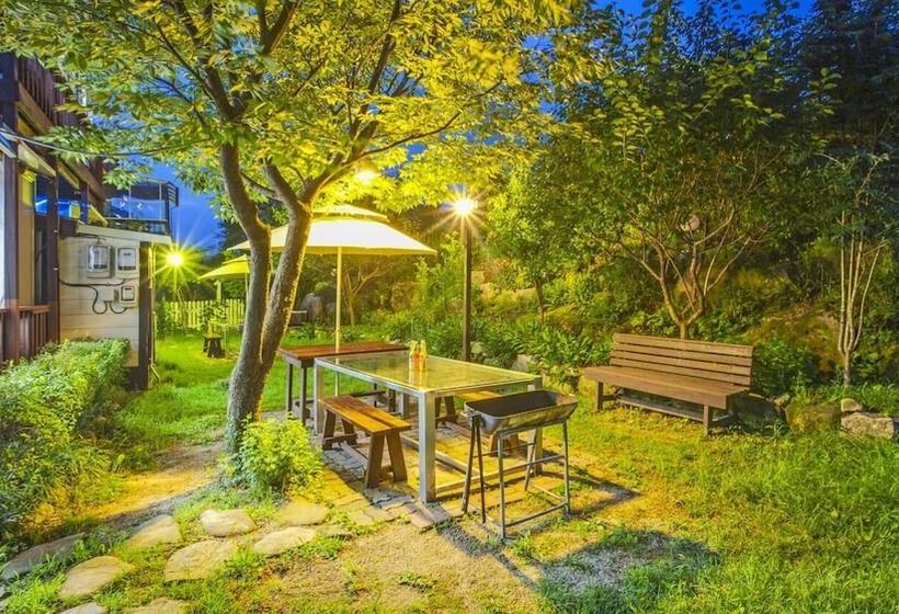 Hwacheon Parprika Yellow Pension