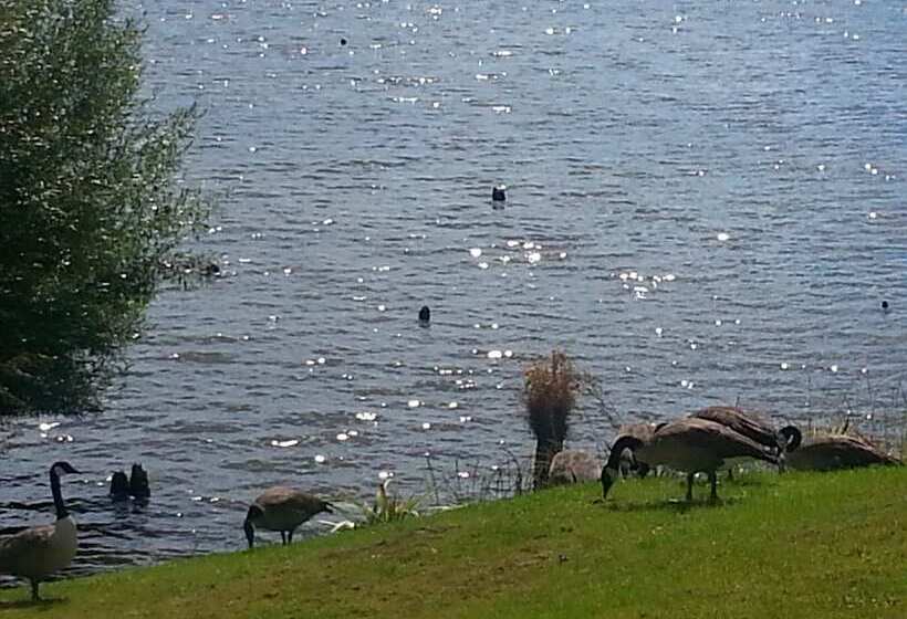 Koutu Beach Bed And Breakfast