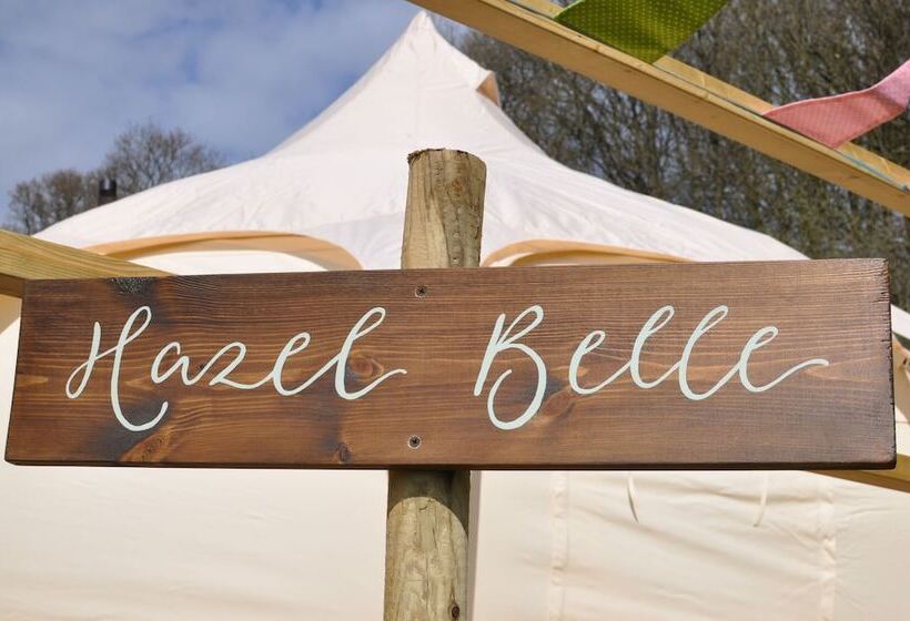 Lovely Spacious Lotus Bell Tent In Shaftesbury, Uk