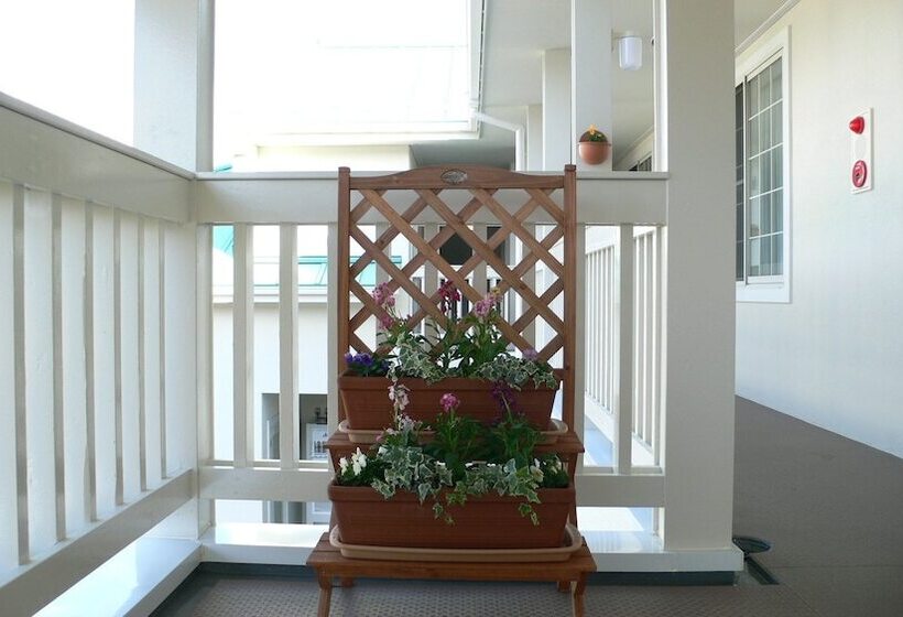 מוטל Family Lodge Hatagoya Nirasaki