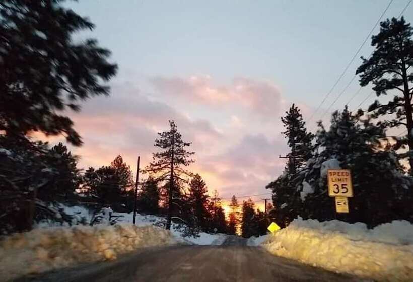 Mountain View Cabins