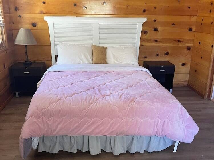 Mountain View Cabins