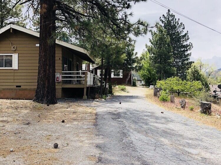 Mountain View Cabins