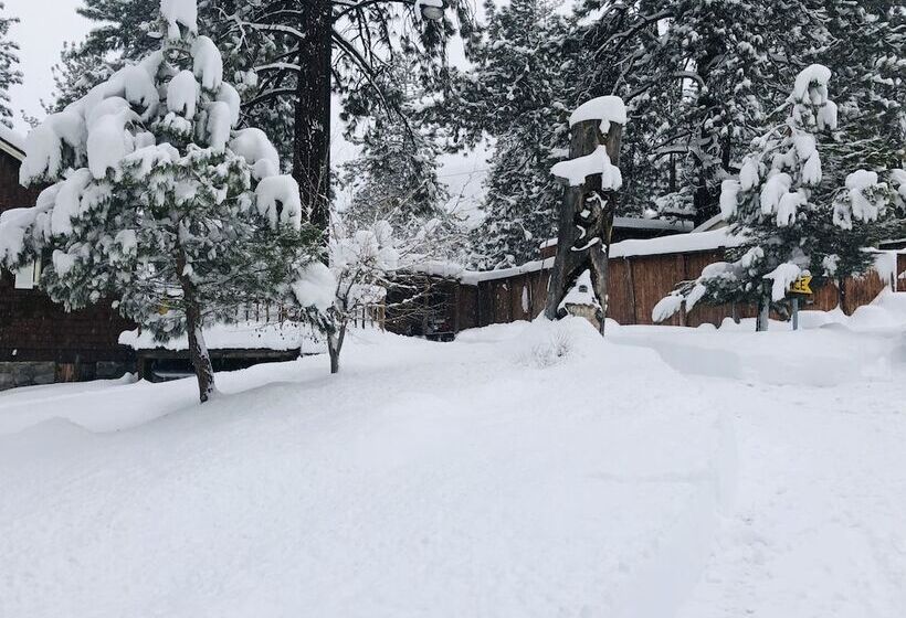 Mountain View Cabins