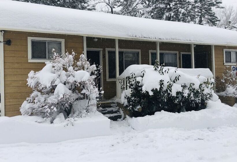 Mountain View Cabins