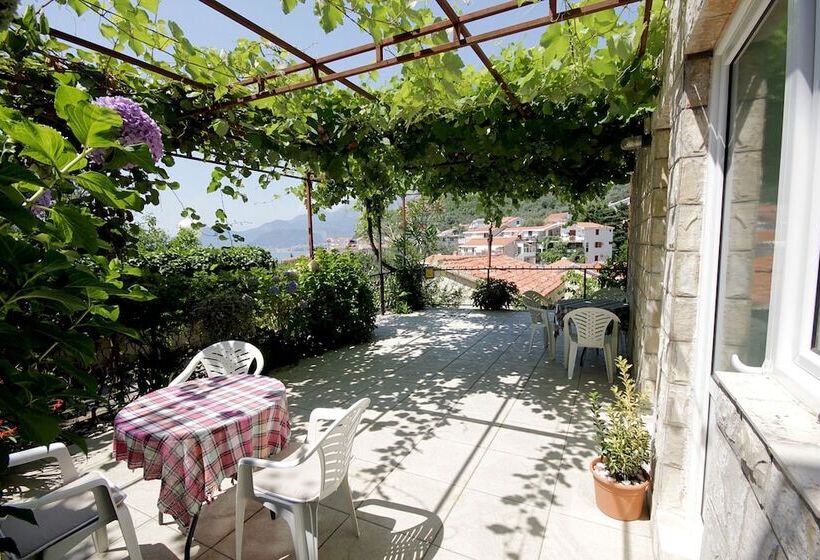 پانسیون Apartments Aleksandar