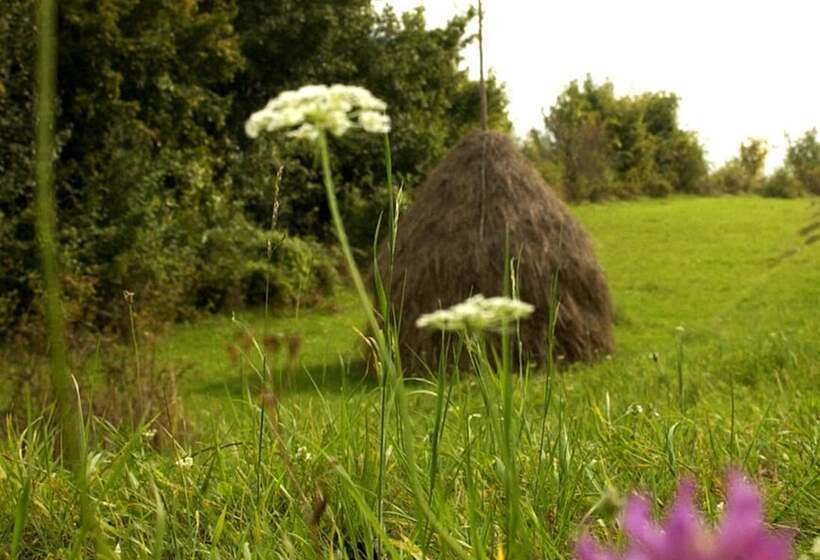 بنسيون Casa Kiraly Vendeghaz