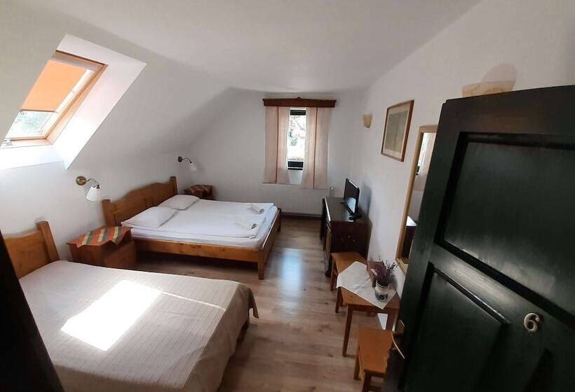 بنسيون Casa Kiraly Vendeghaz