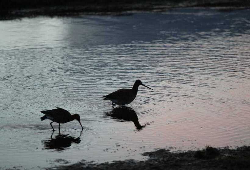 پانسیون Narfastadir Guesthouse