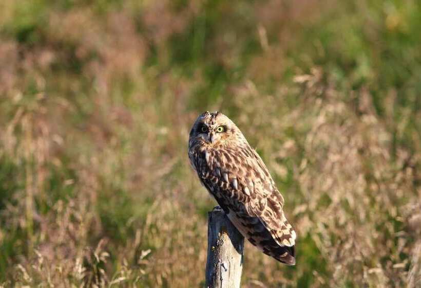 پانسیون Narfastadir Guesthouse