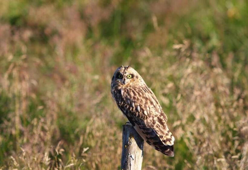 پانسیون Narfastadir Guesthouse