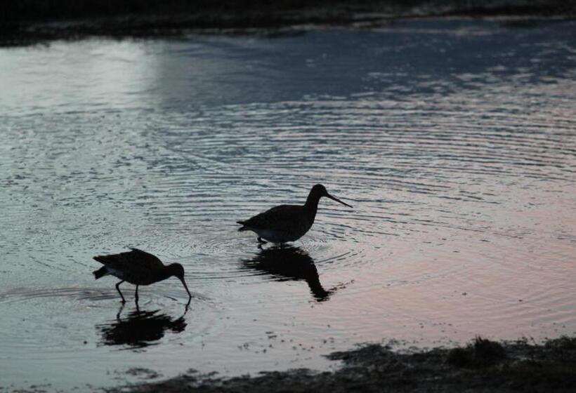 پانسیون Narfastadir Guesthouse